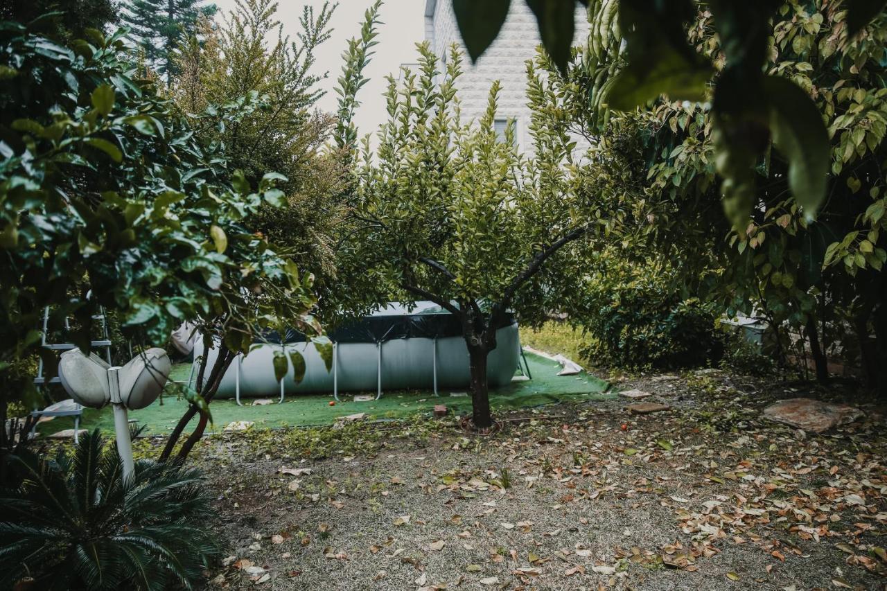 The Garden Apartment Nasıra Dış mekan fotoğraf